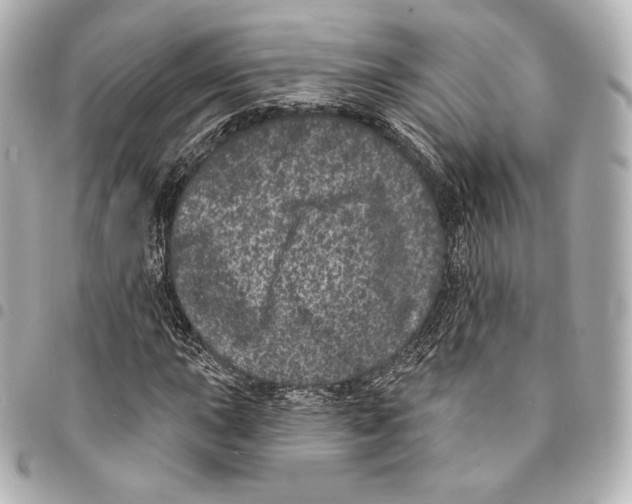 X0000094961015200712271715