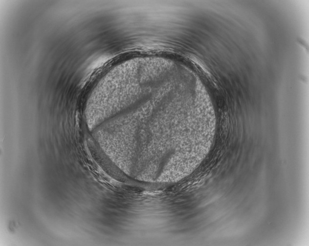 X0000094961016200712271715