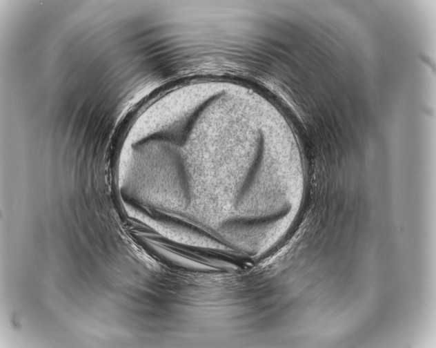 X0000094961018200712271715