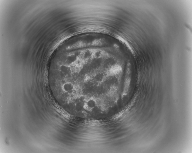 X0000094961019200712271715