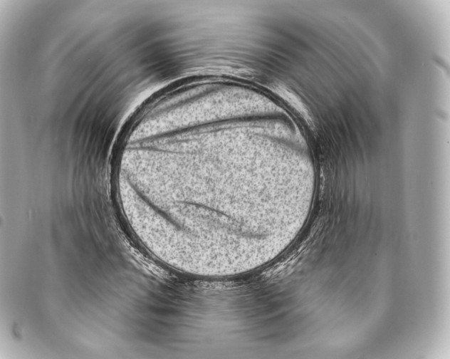 X0000094961020200712271715