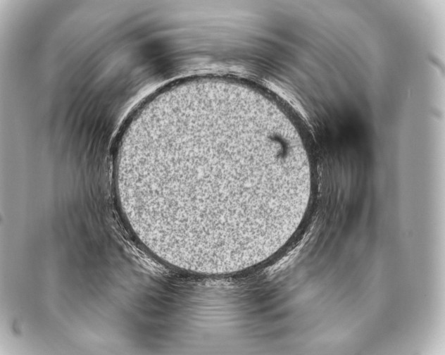 X0000094961021200712271715