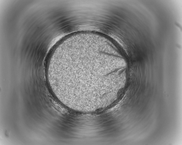 X0000094961022200712271715