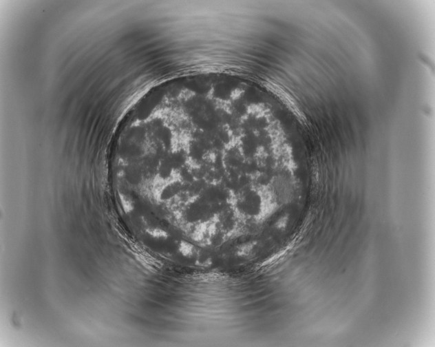X0000094961023200712271715
