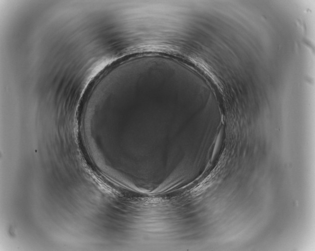 X0000094961024200712271715