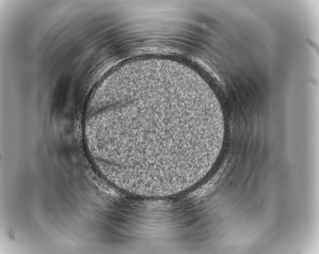 X0000094961025200712271715