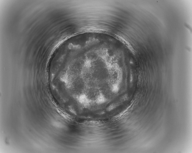 X0000094961027200712271715