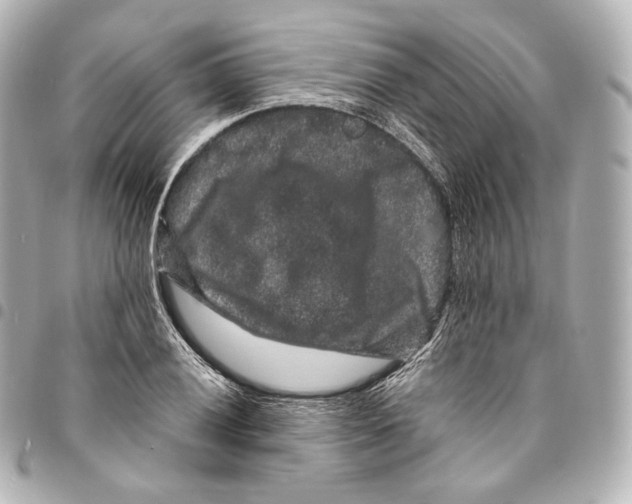 X0000094961028200712271715