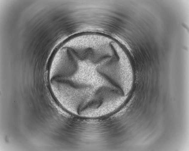 X0000094961029200712271715