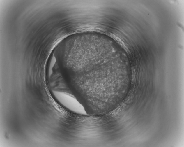 X0000094961031200712271715