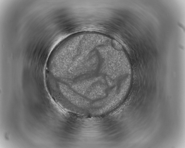 X0000094961032200712271715