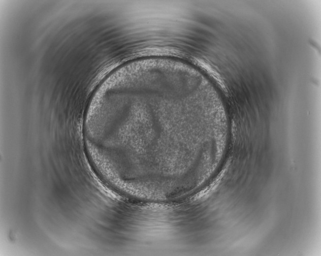 X0000094961033200712271715