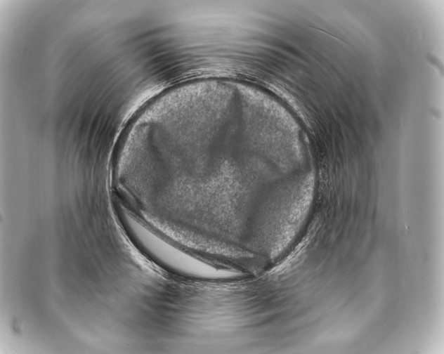 X0000094961034200712271715