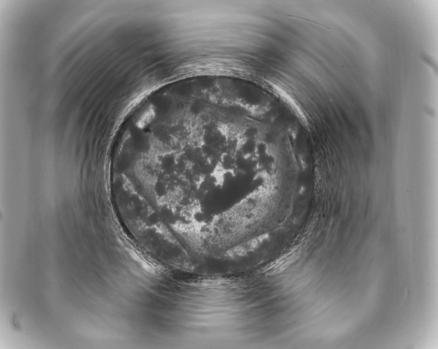 X0000094961035200712271715