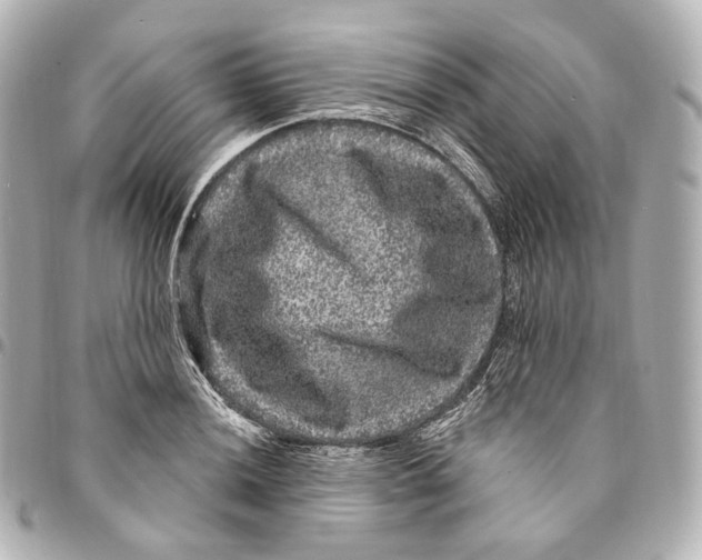X0000094961036200712271715