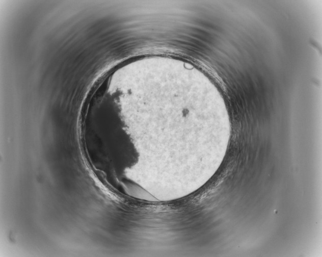 X0000094961037200712271715