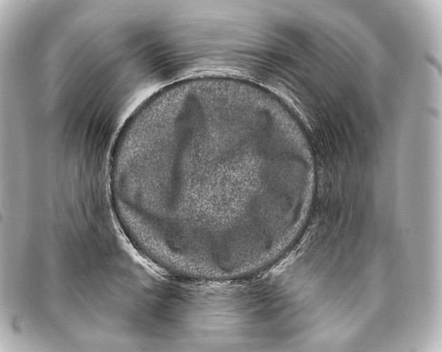 X0000094961038200712271715