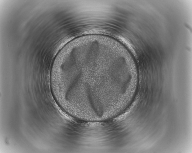 X0000094961041200712271715