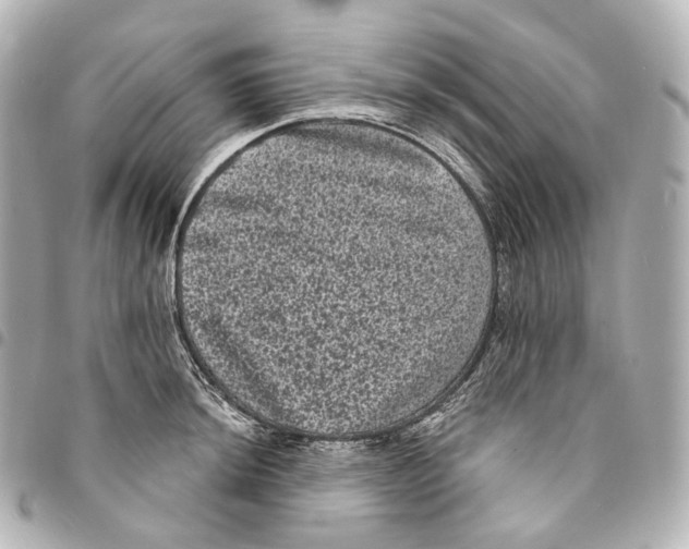 X0000094961044200712271715