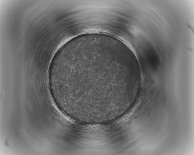X0000094961045200712271715