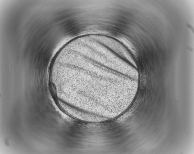 X0000094961046200712271715
