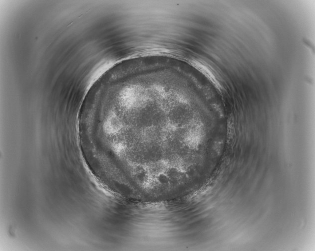 X0000094961047200712271715