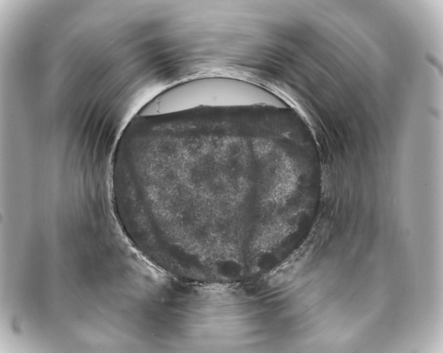 X0000094961048200712271715