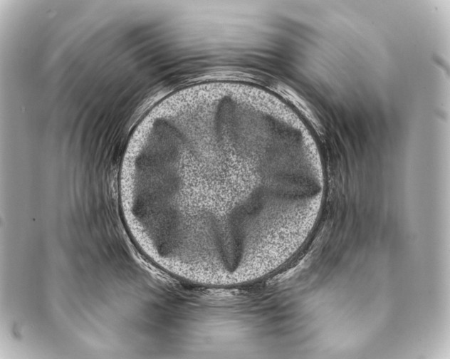X0000094961049200712271715