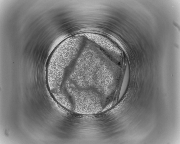 X0000094961050200712271715