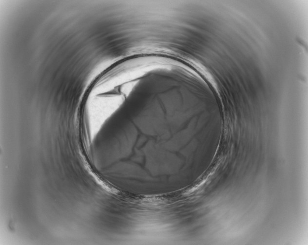 X0000094961053200712271715