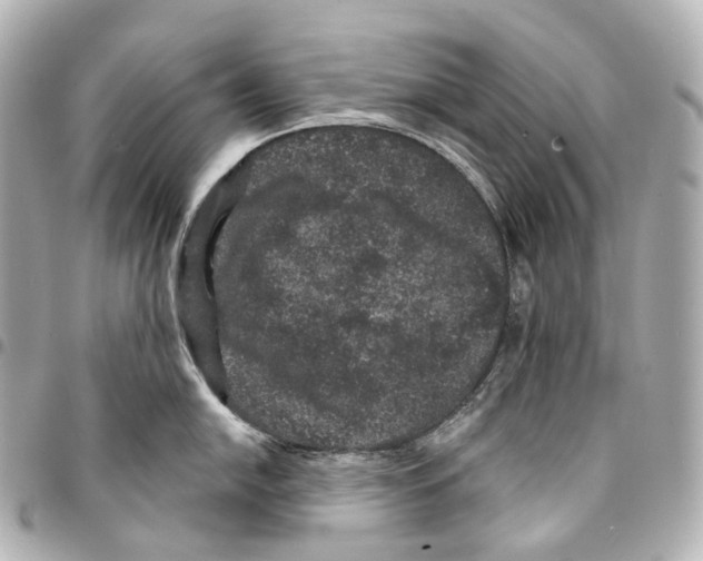X0000094961054200712271715