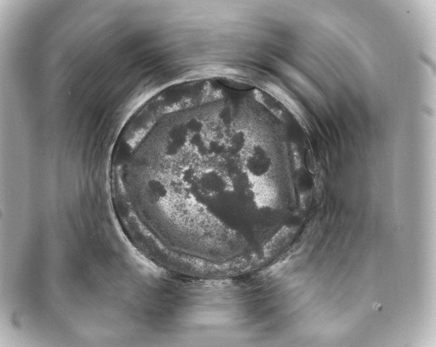 X0000094961055200712271715