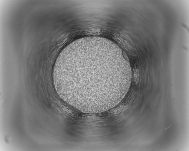 X0000094961057200712271715