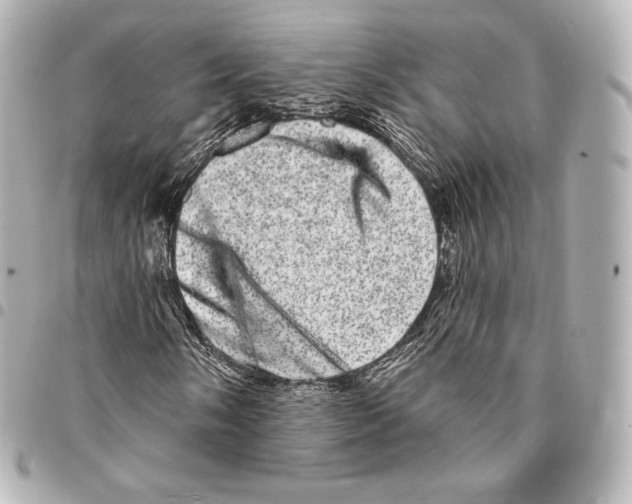 X0000094961058200712271715