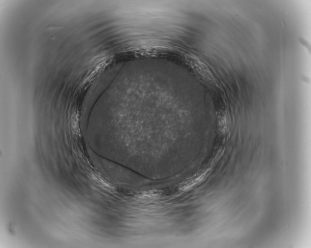 X0000094961060200712271715