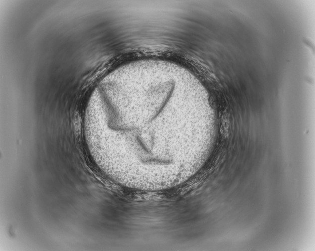 X0000094961061200712271715