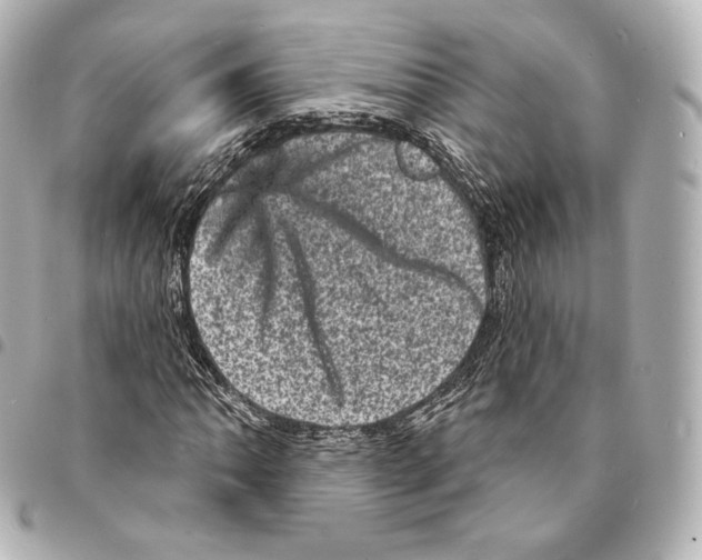 X0000094961062200712271715