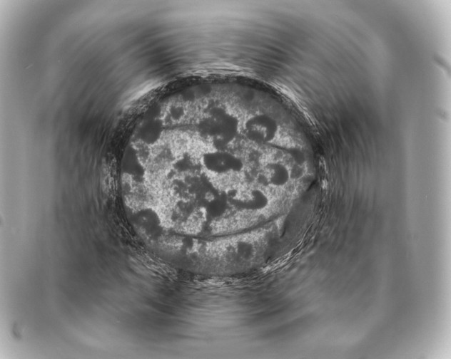 X0000094961063200712271715