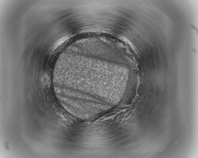 X0000094961064200712271715