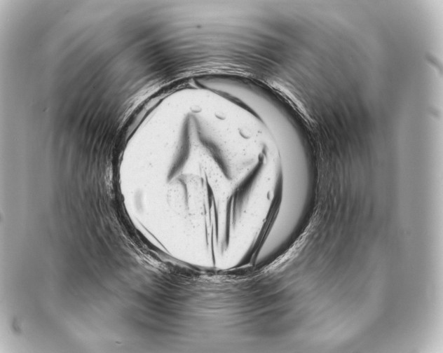 X0000094961065200712271715