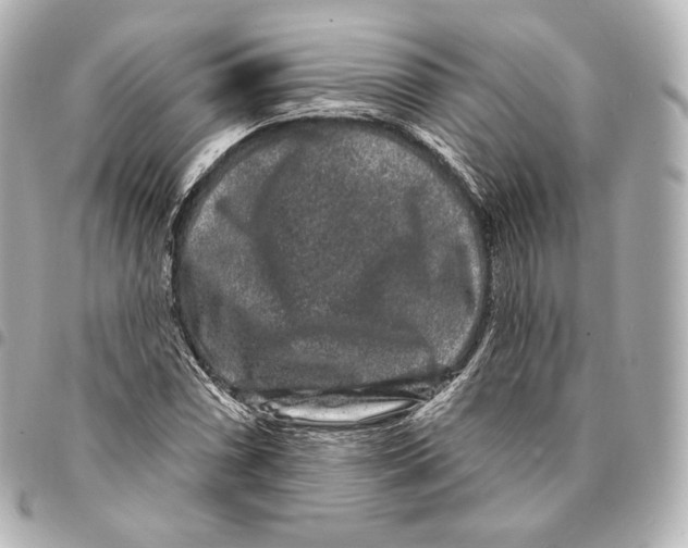 X0000094961066200712271714