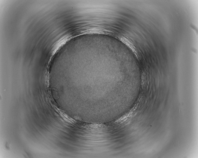 X0000094961067200712271714