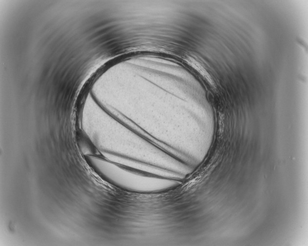 X0000094961068200712271714