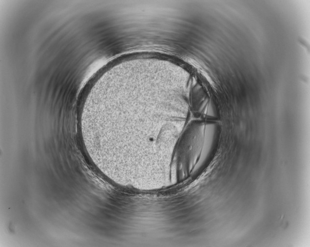 X0000094961069200712271714