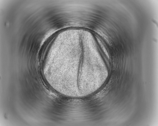 X0000094961070200712271714