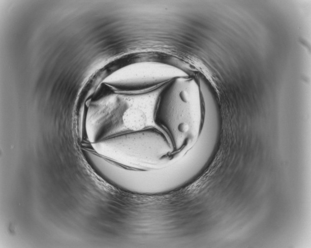 X0000094961072200712271714