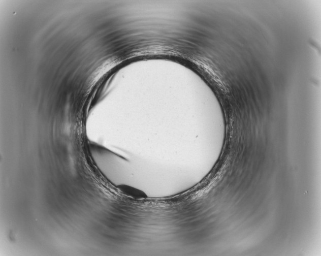 X0000094961073200712271714