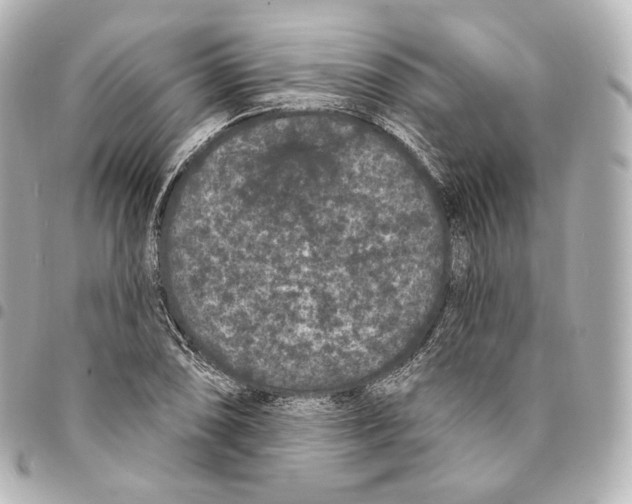 X0000094961074200712271714