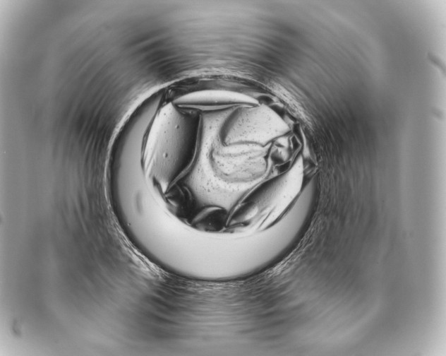 X0000094961076200712271714