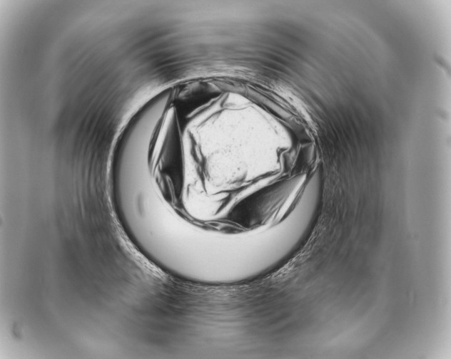 X0000094961080200712271714